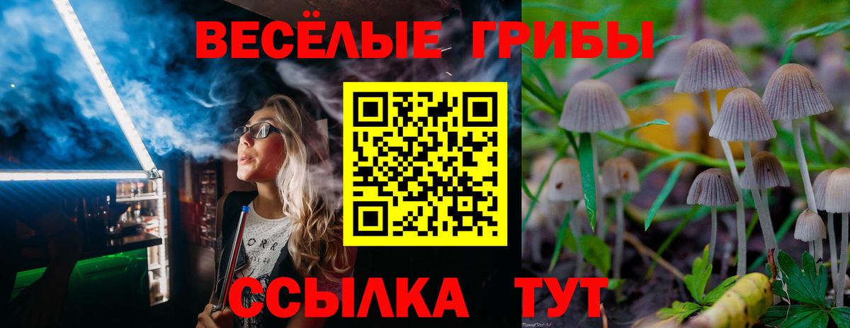 Галлюциногенные грибы Psilocybine cubensis  Псилоцибиновые грибы Magic Shrooms  Кириши  хочу   Вход с VPN 